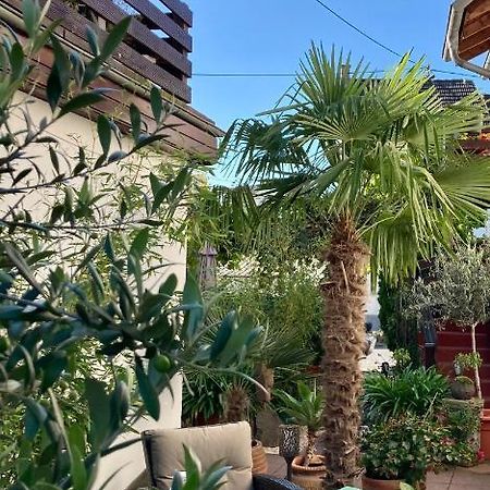 منديغ Gaestehaus Klaus المظهر الخارجي الصورة
